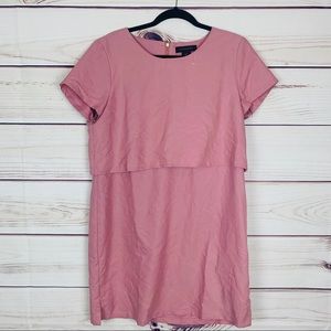 Tahari Blush Overlay Shift Dress NWOT